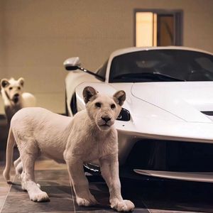 国产一级A级母子伦视频
