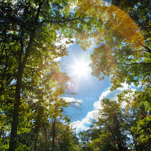 国产一级A级母子伦视频
