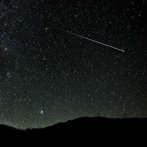 国产一级A级母子伦视频
