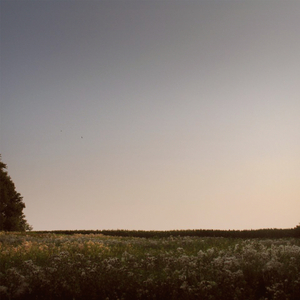 国产一级A级母子伦视频
