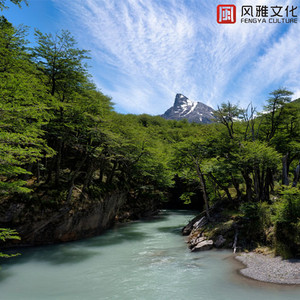 国产一级A级母子伦视频
